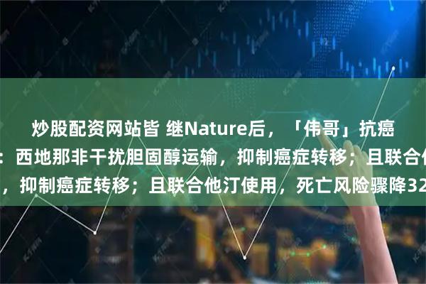 炒股配资网站皆 继Nature后，「伟哥」抗癌再登顶刊！2026年最新：西地那非干扰胆固醇运输，抑制癌症转移；且联合他汀使用，死亡风险骤降32%