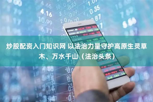 炒股配资入门知识网 以法治力量守护高原生灵草木、万水千山（法治头条）